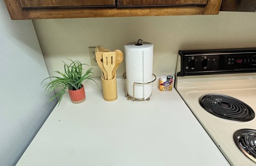 Pendleton Apartment | Clemson GAME DAY & Tailgates + Lake Life – 2BR Townhome Stay