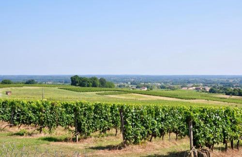 Saint-Pierre-d'Aurillac House | CLOS SAINT SAUVEUR - guesthouse au coeur des vignes sur le coteau