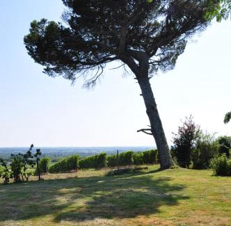 Saint-Pierre-d'Aurillac House | CLOS SAINT SAUVEUR - guesthouse au coeur des vignes sur le coteau