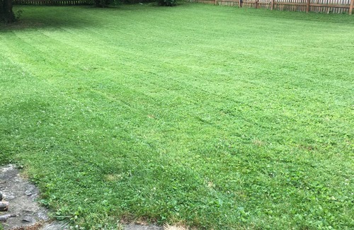 Pendleton House | CLOSE TO EVERYTHING - 28 mi to Indy - Shopping - Dining