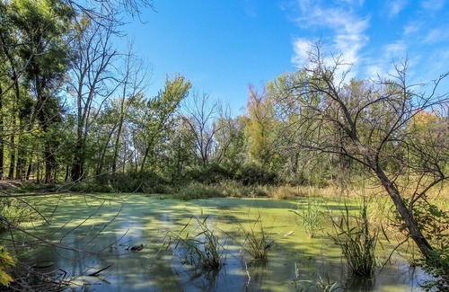 Lake Koshkonong House | Close to lakes!