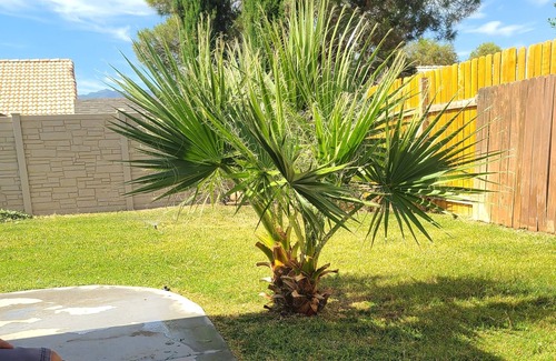 Mesquite House | Close to world class golfing! Tranquil 2-bedroom house with AC in Mesquite!