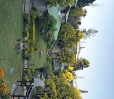 Almora Resort | Club Mahindra Binsar Valley