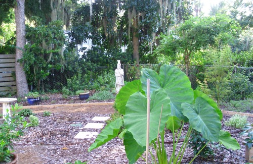 Pigeon Point Apartment | 'Coast' In' and Relax in our private getaway, free wi-fi!