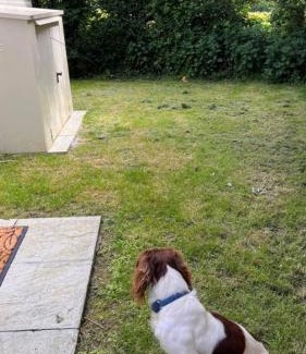 Barnstaple Resort | Coastal Escape