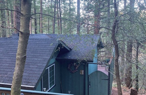 Middletown Cabin | Cobb Tree House; Charming 1-bedroom cabin.