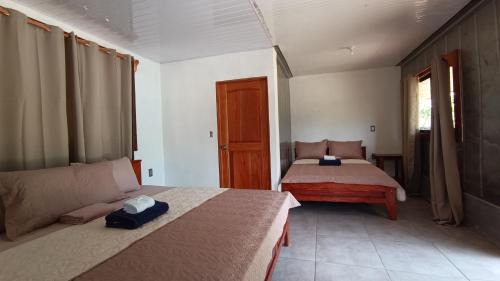 Pavones Apartment | Coconut Lodge Pavones