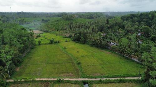 Baddegama Apartment | Coconut Shady Villa