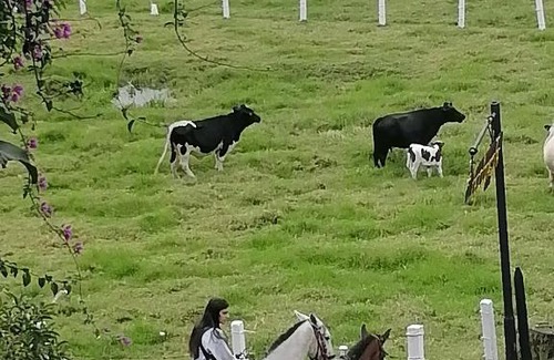 Salento Apartment | Coffee Flores Gabriel