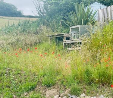 North Buckland House | Collective Yard