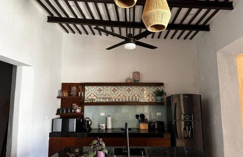 Centro House | Colonial Property with a Tropical Garden and Pool