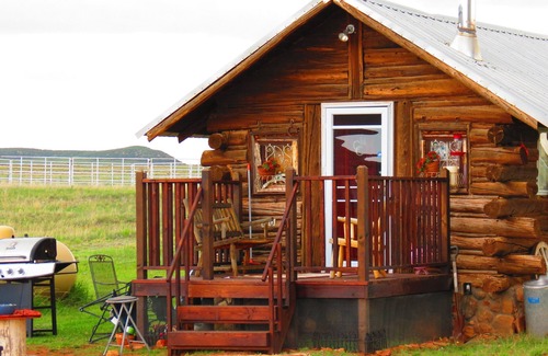 Livermore Cabin | Colorado Cabin with Hot tub, sauna, cold plunge!