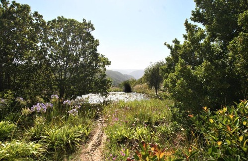 Die Barakke Bed & Breakfast | Colourful BnB