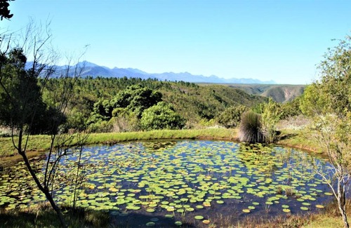 Die Barakke Bed & Breakfast | Colourful BnB