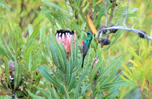 Die Barakke Bed & Breakfast | Colourful BnB