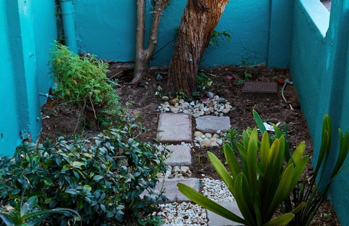 Cape Town City Centre House | Colourful Gypsy Cottage - Central Cape Town Getaway