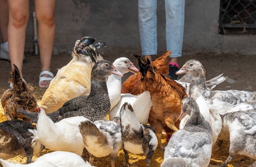 Tehuixtla Hotel | Come and enjoy, connect with yourself in the company of nature, come and live!