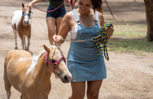 Tehuixtla Hotel | Come and enjoy, connect with yourself in the company of nature, come and live!