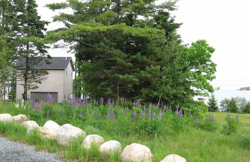 Gouldsboro Cottage | Come-Stay ...a little slice of paradise!