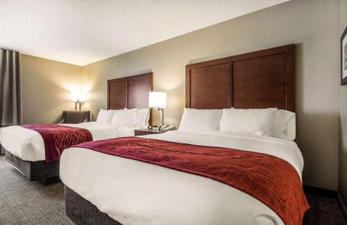 Ottawa Hotel | Comfort Inn Ottawa Starved Rock Area