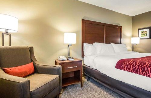 Ottawa Hotel | Comfort Inn Ottawa Starved Rock Area