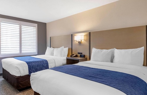 Miramar Hotel | Comfort Inn San Diego Miramar