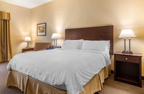 Dahlonega Hotel | Comfort Inn & Suites Dahlonega University Area