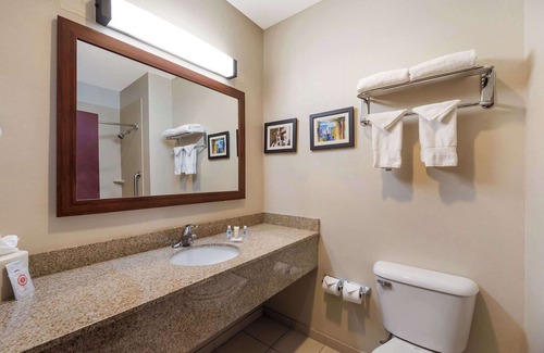 Las Vegas Hotel | Comfort Inn & Suites Las Vegas - Nellis