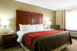 Leeds Hotel | Comfort Inn & Suites Leeds I-20
