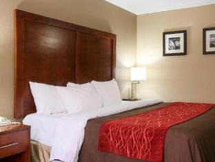 Leeds Hotel | Comfort Inn & Suites Leeds I-20