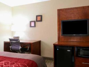 Leeds Hotel | Comfort Inn & Suites Leeds I-20