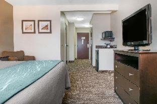 Porter Hotel | Comfort Inn & Suites Porter near Indiana Dunes