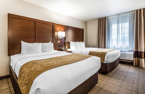 King Hotel | Comfort Suites at Par 4 Resort