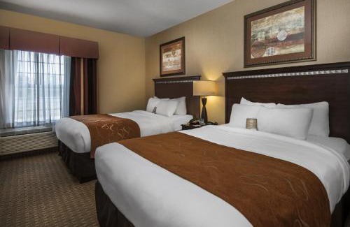 Conway Hotel | Comfort Suites Conway