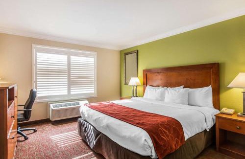 Raisin Hotel | Comfort Suites Fresno River Park