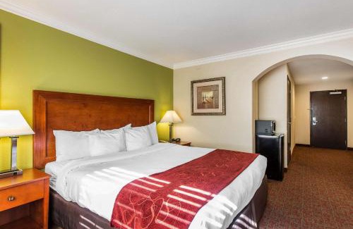 Raisin Hotel | Comfort Suites Fresno River Park