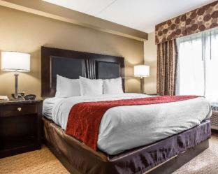 Morrow Hotel | Comfort Suites Morrow- Atlanta South