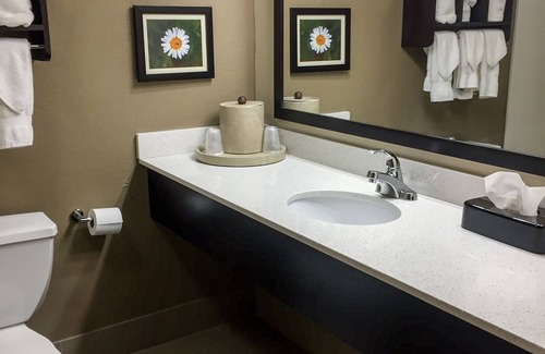 Cary Hotel | Comfort Suites Regency Park