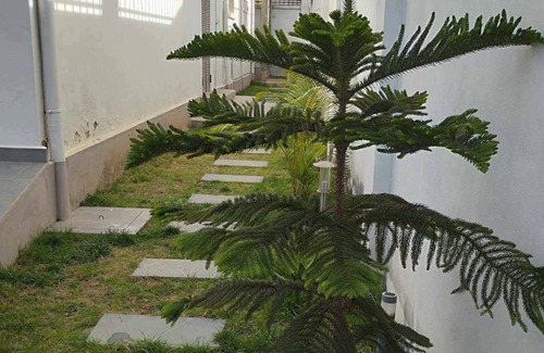 Bouvet Island Apartment | Comfortable loft with free wifi overlooking Palais Iavoloha