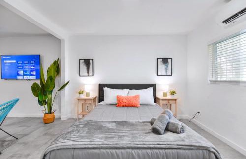 Northeast Miami Apartment | Comfy and Highlight Studio to Know Miami