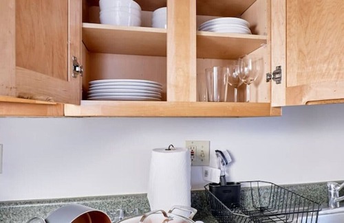 Grand Center Apartment | Comfy Studio SLU, Fox Thtr, CWE-Unit L