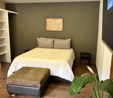 Metepec Apartment | Condesa Metepec loft y jardín