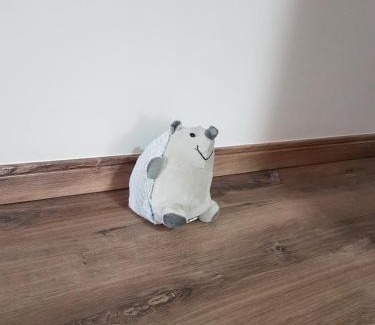 Campos do Jordao Apartment | Condessa de Bonneval em Campos do Jordão