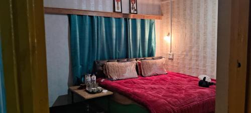 Srinagar House | Conifer view