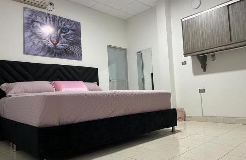 Arauca House | COOL HOUSE 24Horas