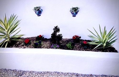 Partaloa Apartment | Cortijo Calmoso The Bungalow