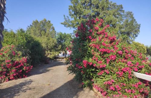 Espera Apartment | Cortijo el Morisco.