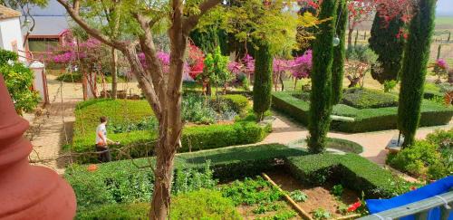 Carmona Villa | Cortijo El Triguero N-398 Ctra Carmona – El Viso del Alcor Km 18