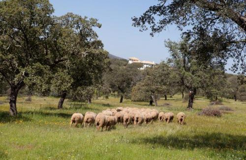 Retamal de Llerena House | Cortijo Los Lomillos - La Encina