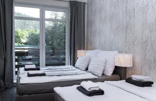 Spindleruv Mlyn Apartment | Cosy and Modern Apartment Labska Spindl